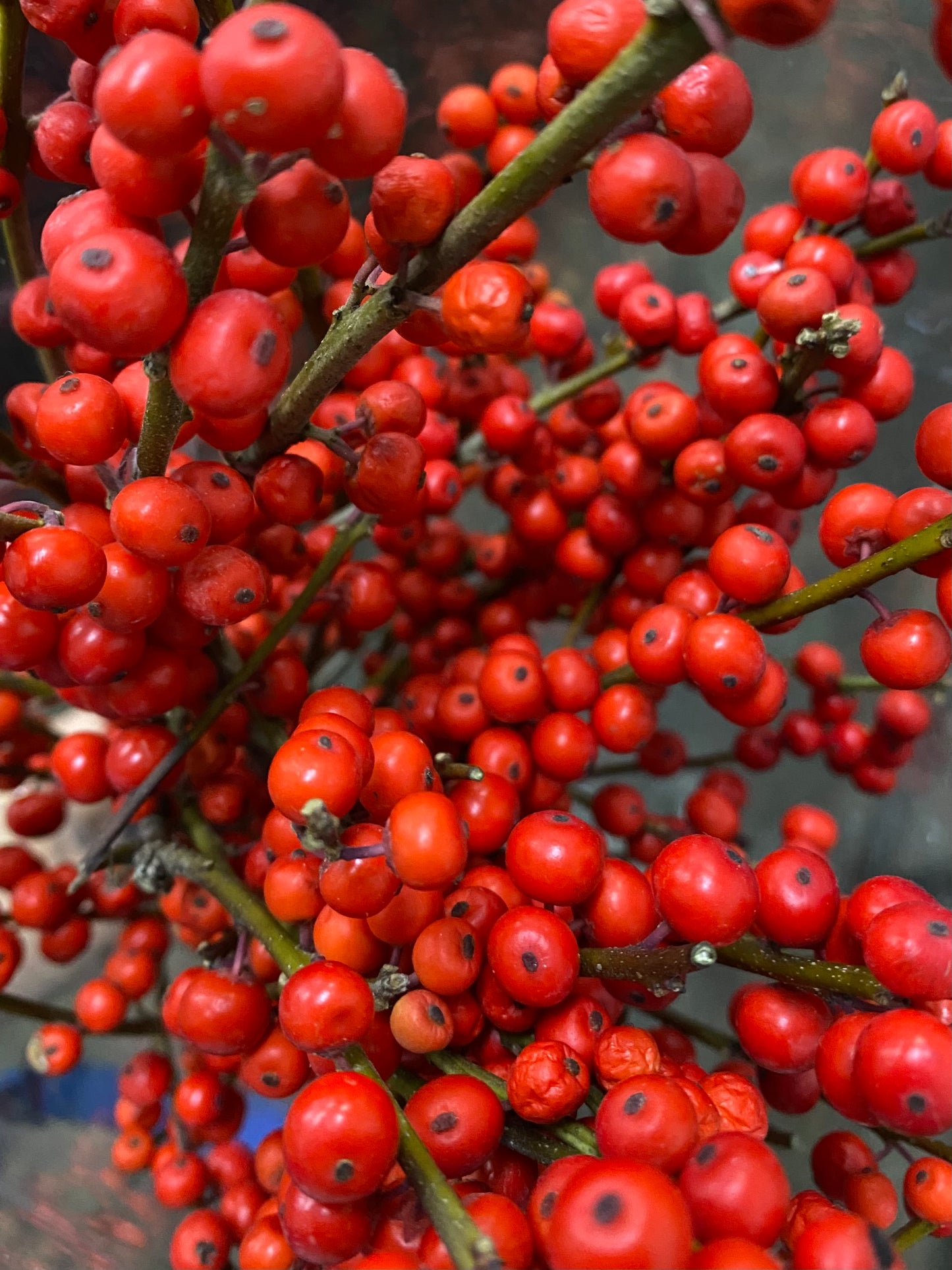 It’s a SpeciAL DaY!