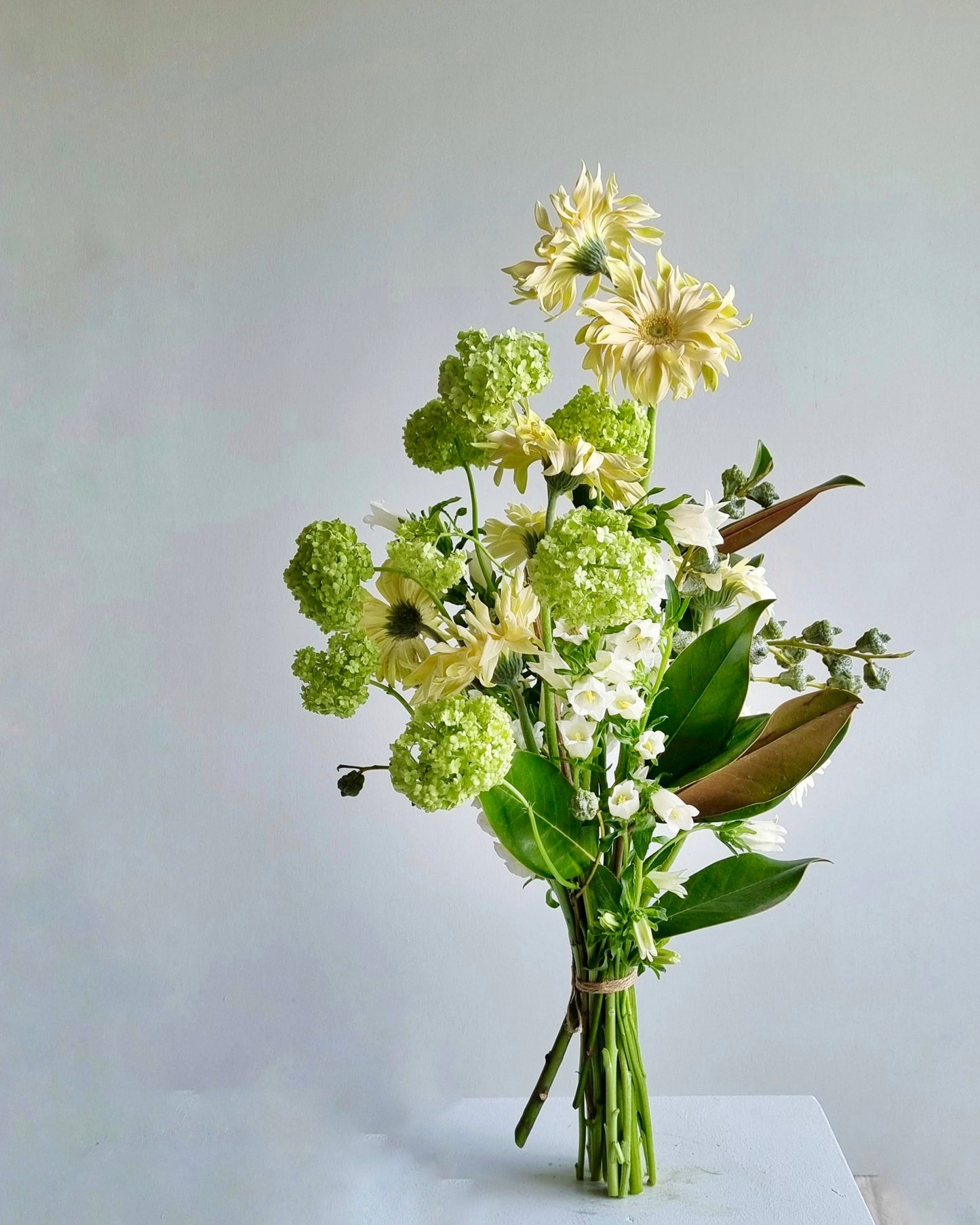 Bouquet of green and white flowers on a light gray background