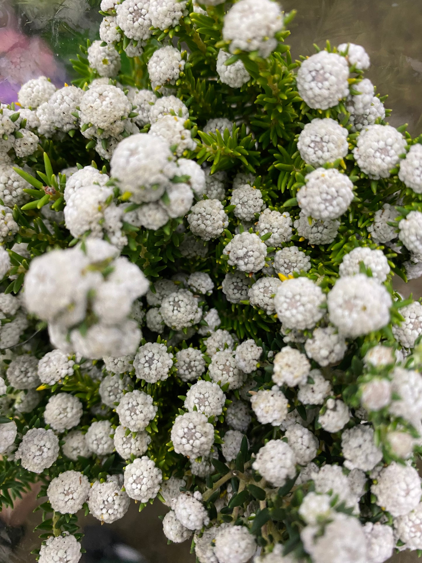 It’s a SpeciAL DaY!