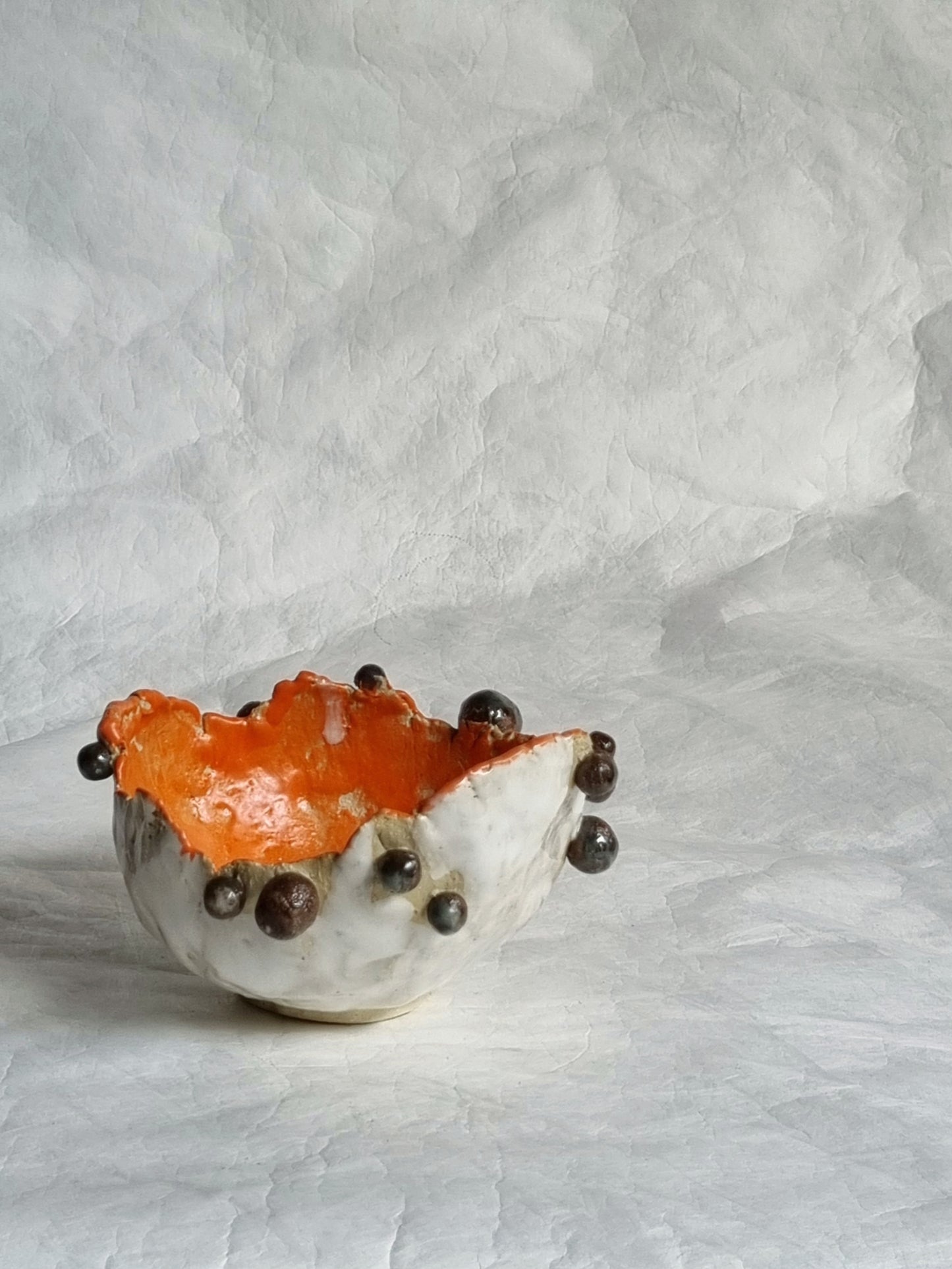 Chocolate chip Bowl