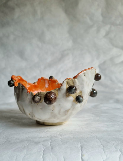 Chocolate chip Bowl