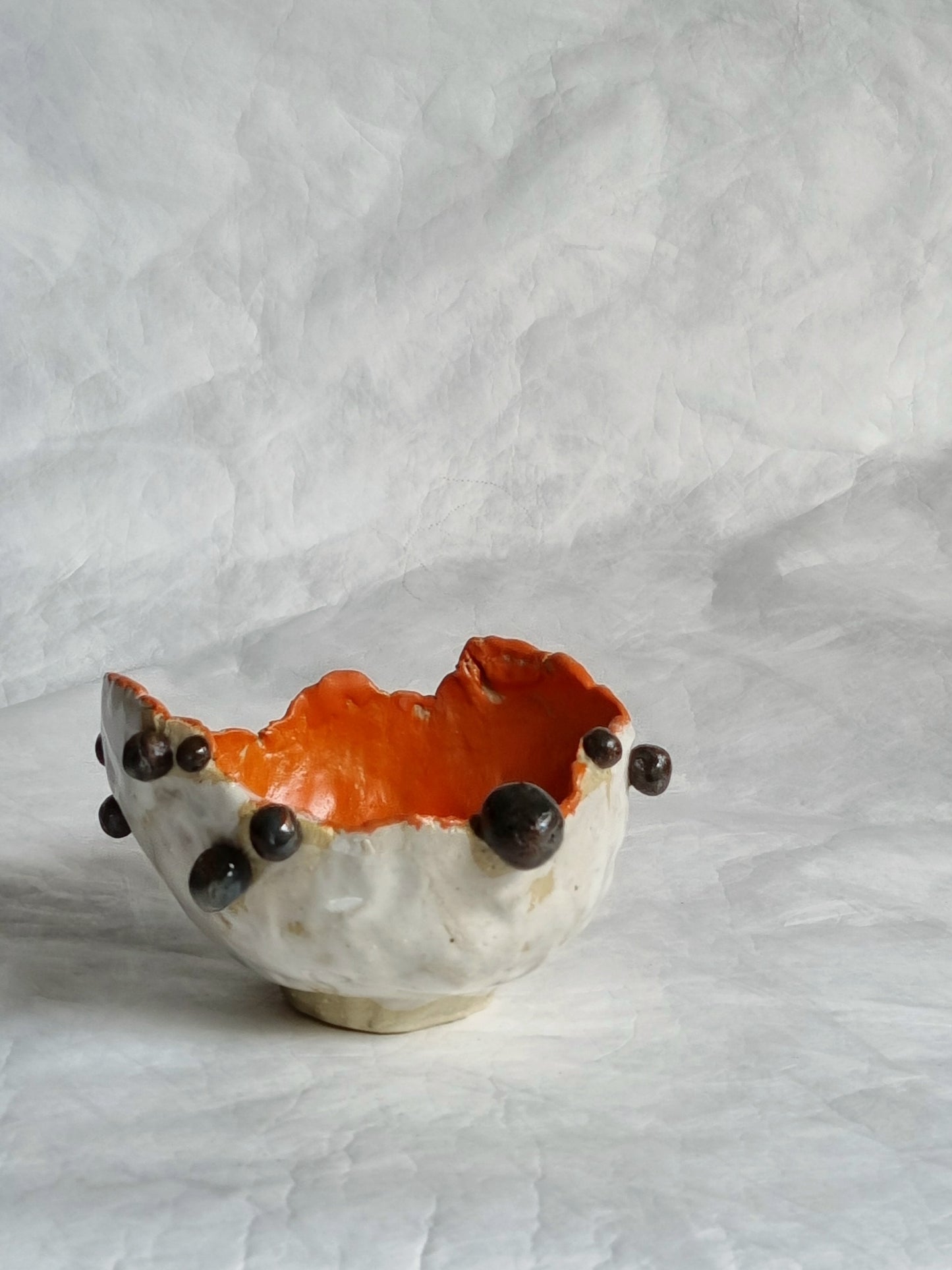 Chocolate chip Bowl