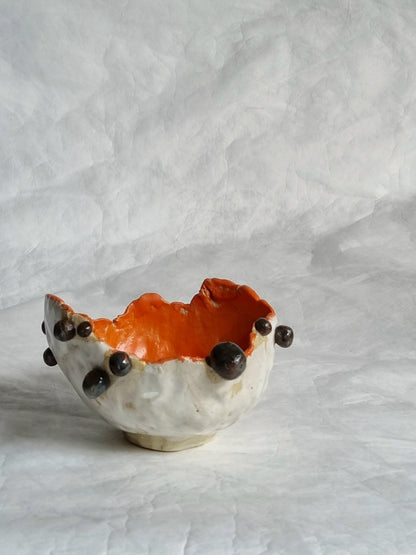 Chocolate chip Bowl