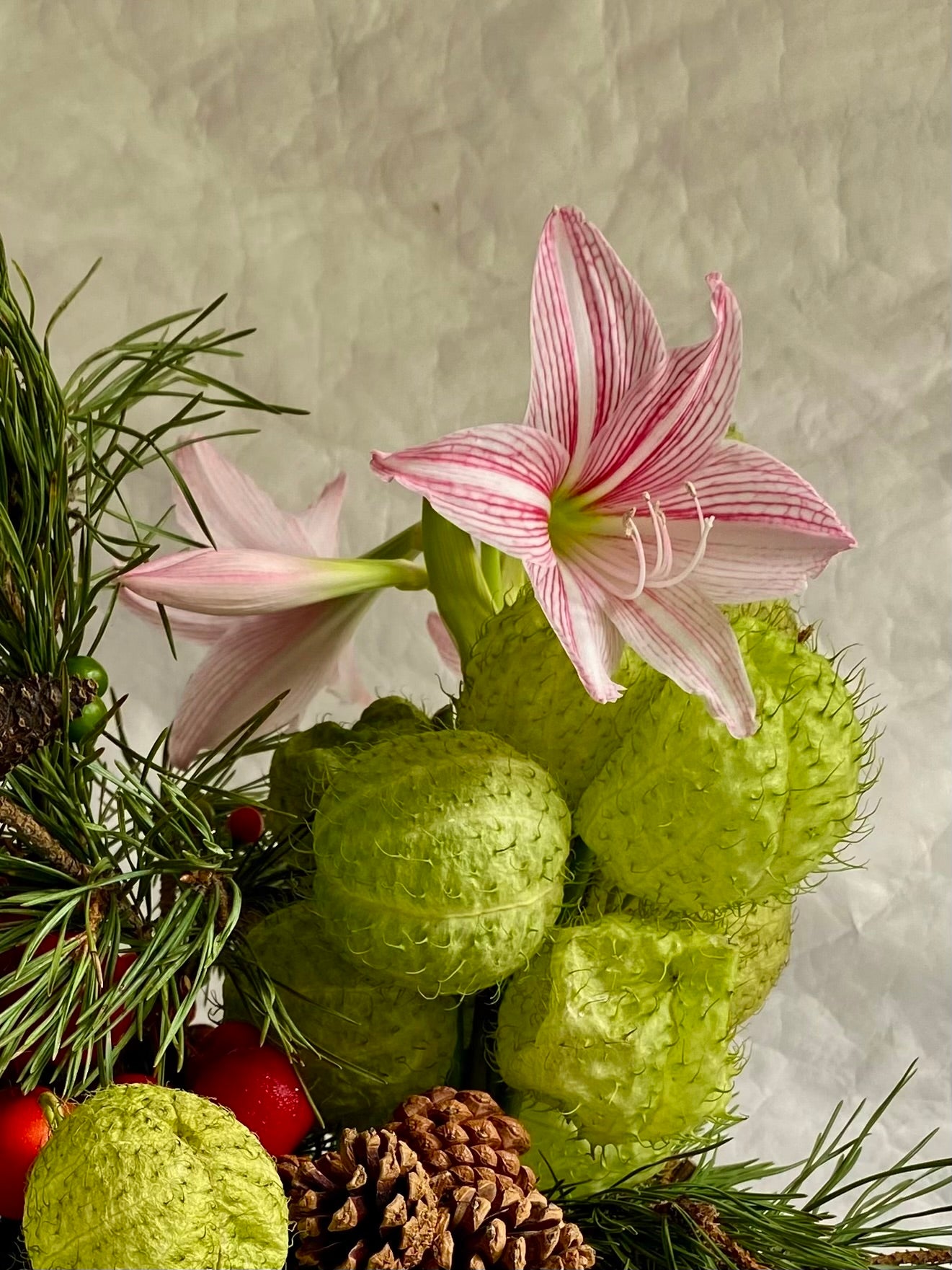 It’s a SpeciAL DaY!