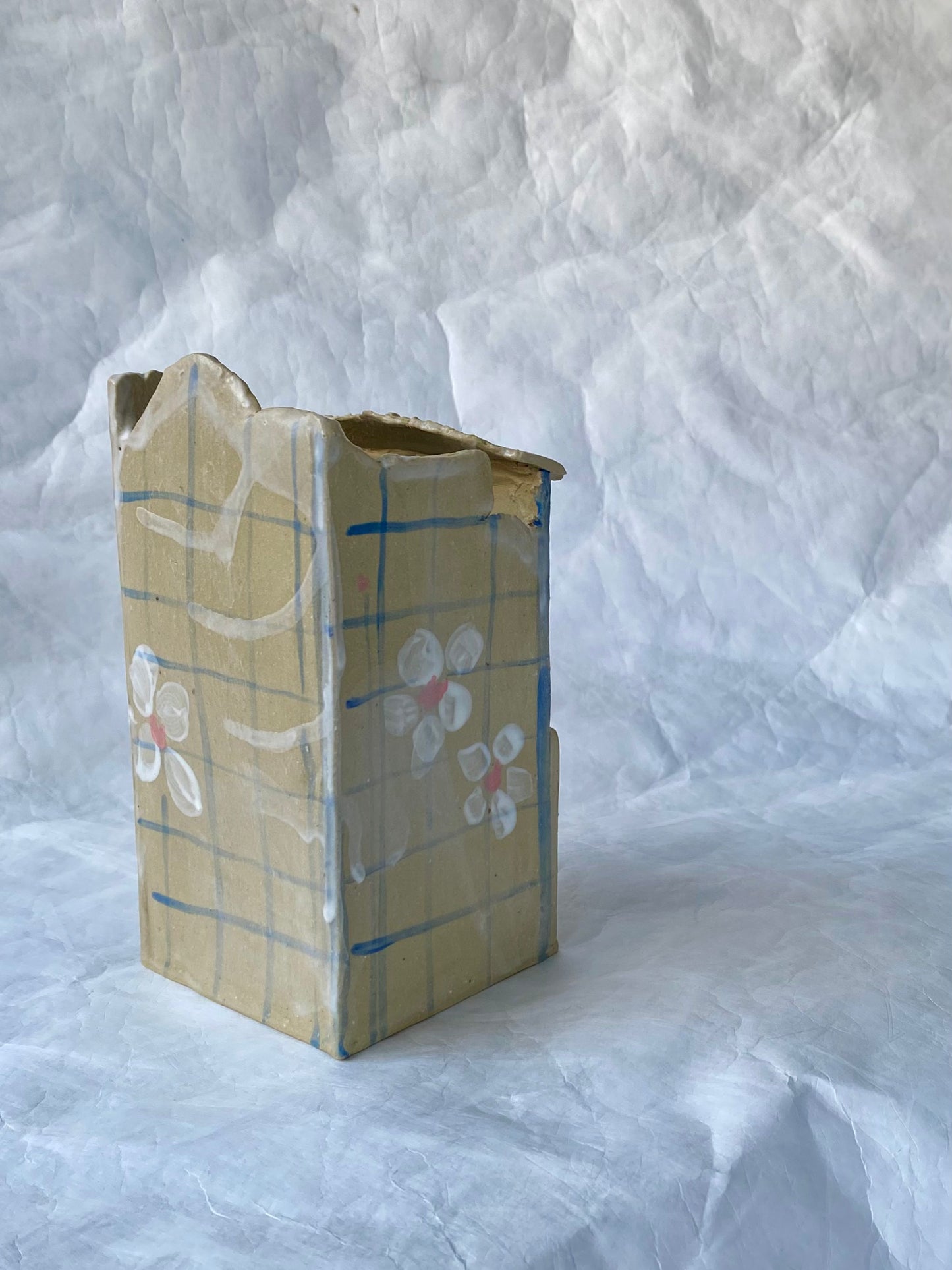 Light blue Shophouse